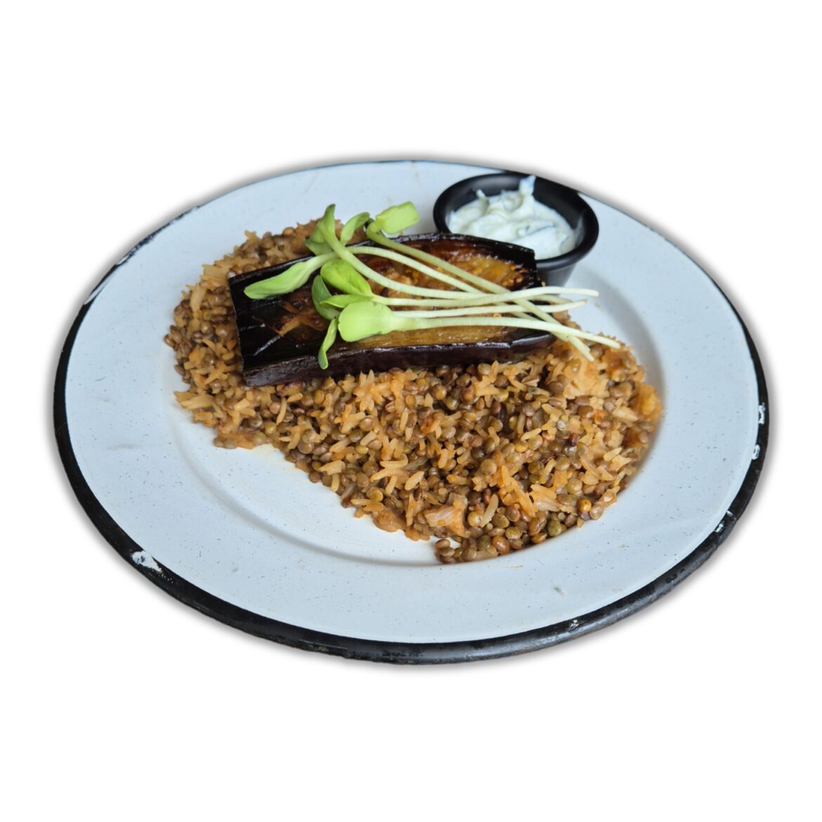 ARROZ-MUJADARA.jpg